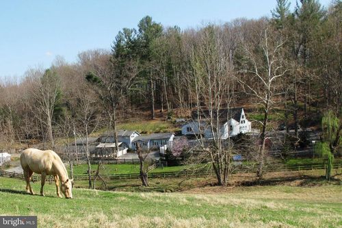 20 Victory Ln, CASTLETON, VA, 22716-2968 | Card Image