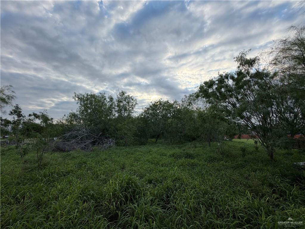 Commercial Sale in Donna 3
