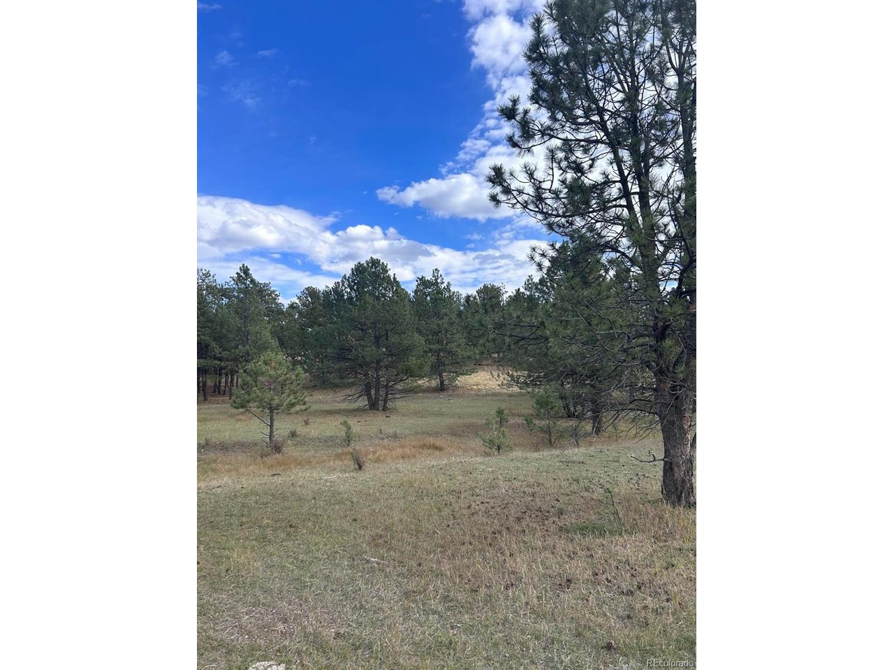 Land in Florissant 4
