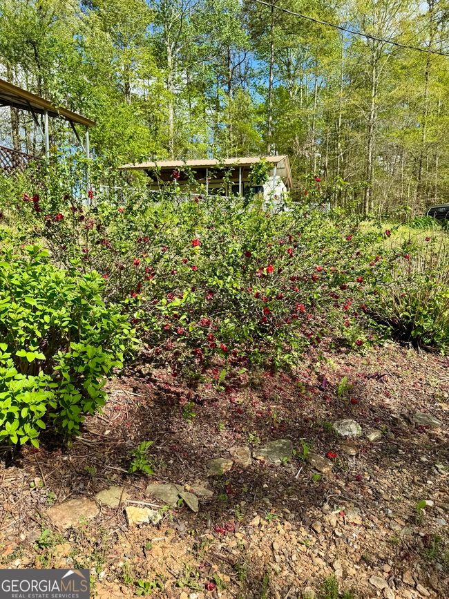 1037 County Road 43, Home with 0 bedrooms, 0 bathrooms and null parking in HEFLIN AL | Image 16