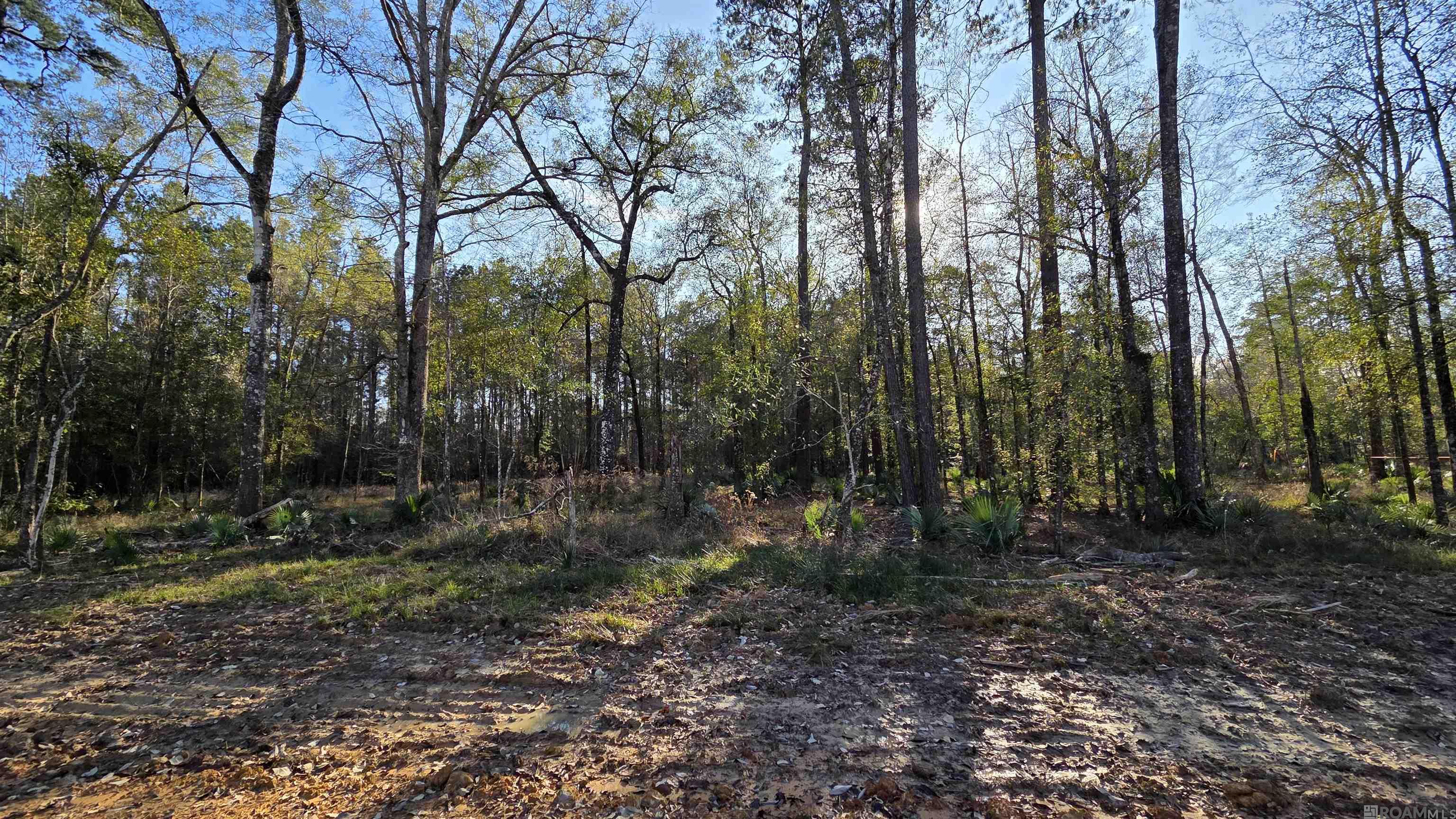 Land in Livingston 5