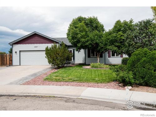 3367 Mammoth Court, Wellington, CO, 80549 | Card Image