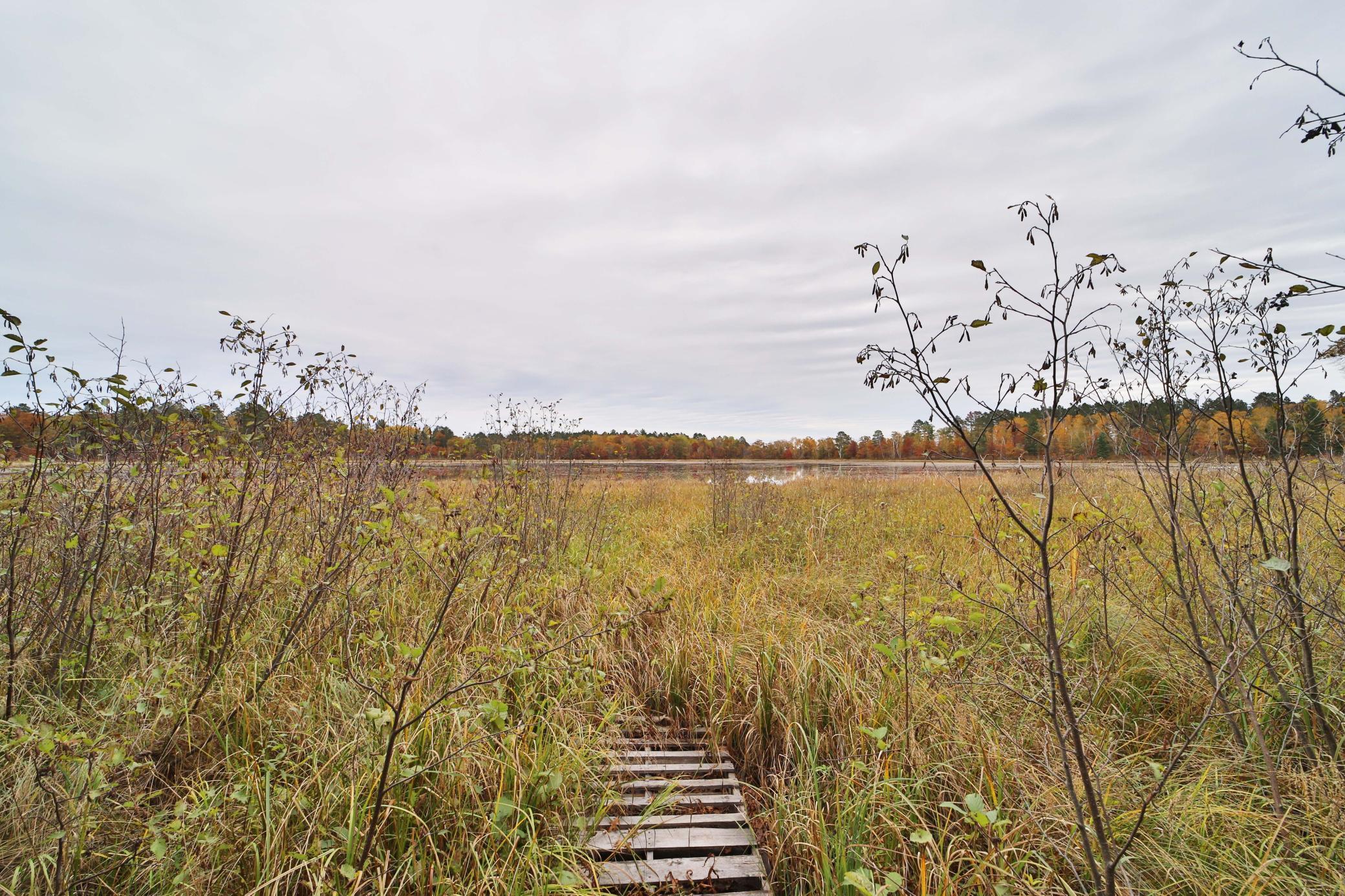 Land in Pine River