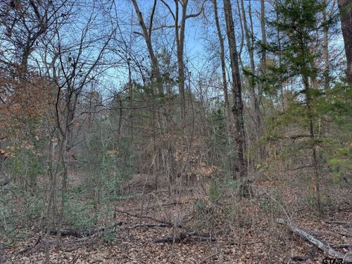 12415 County Road 217, Arp, TX, 75750-9701 | Card Image