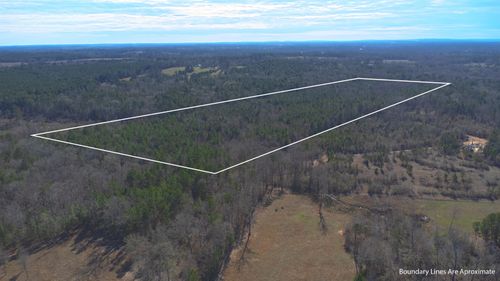 TBD State Highway 323 E, Overton, TX, 75684 | Card Image