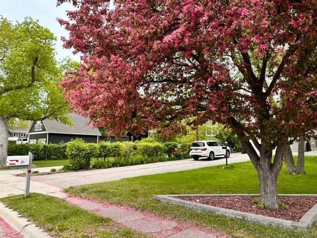 271 Lake Ave N, House other with 4 bedrooms, 3 bathrooms and null parking in Spicer MN | Image 63