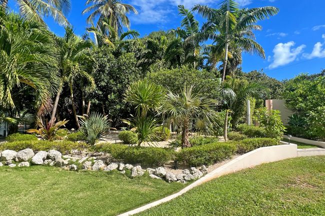 Tropical Gardens | Image 56