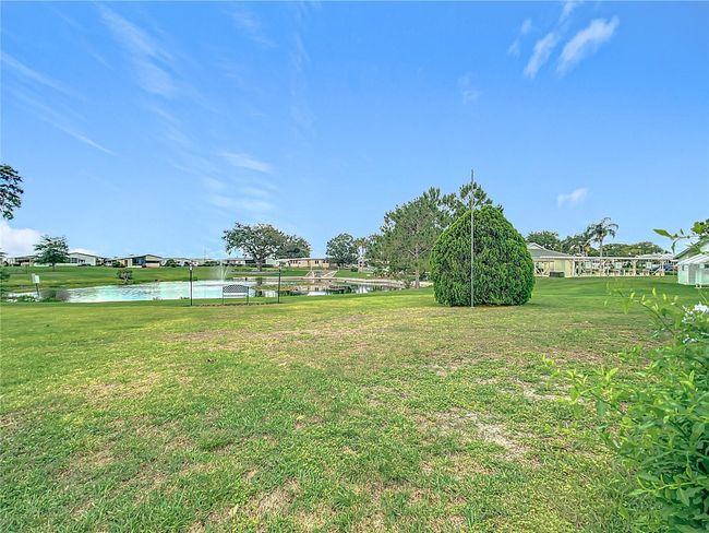 Large backyard | Image 40