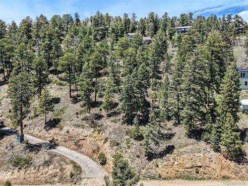 11618 Nichols Way, Conifer, CO, 80433-7521 | Card Image