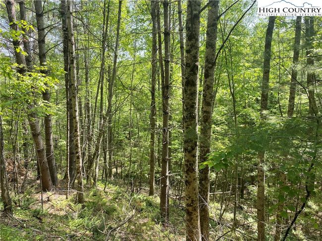 55 Meadow Crest Drive, Home with 0 bedrooms, 0 bathrooms and null parking in Jefferson NC | Image 12