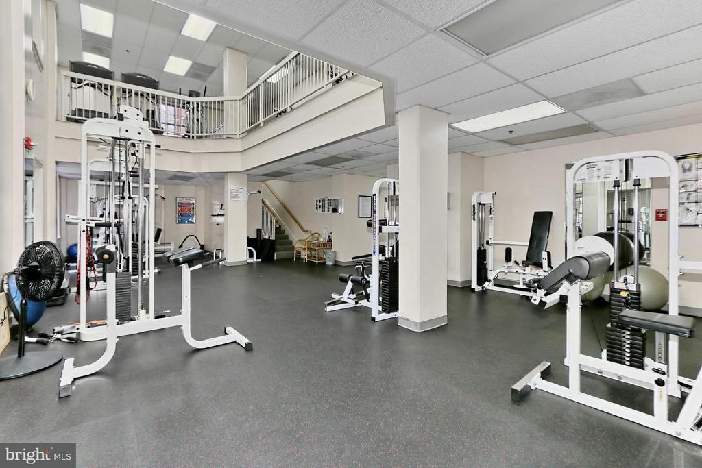 Residential Lease in ALEXANDRIA 3