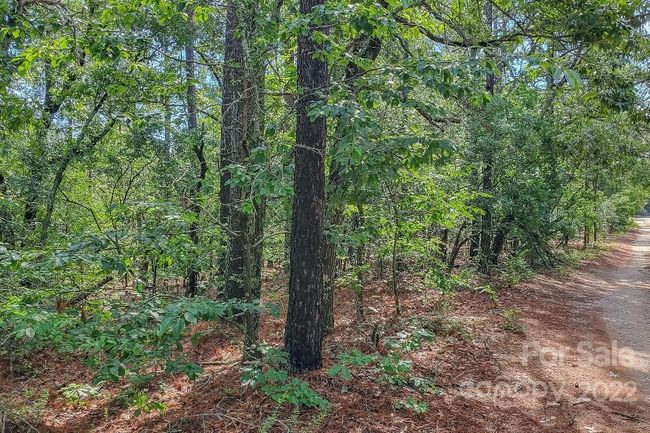 1915 Koon Road, Home with 0 bedrooms, 0 bathrooms and null parking in Lugoff SC | Image 16