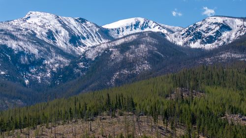 Lolo Peak Shadows, Lolo, MT, 59847 | Card Image