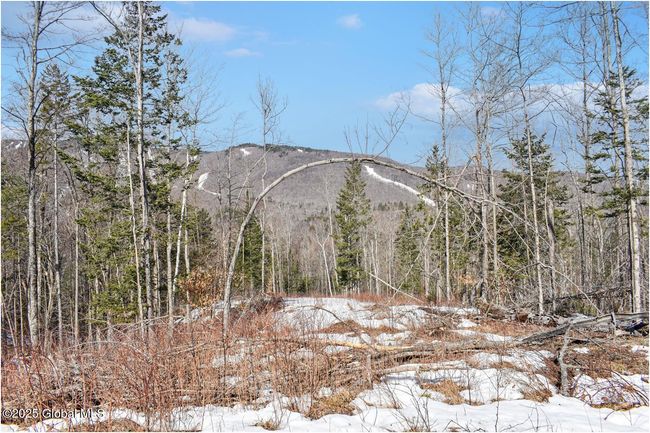 48 Durkin Rd, Home with 0 bedrooms, 0 bathrooms and null parking in North Creek NY | Image 12