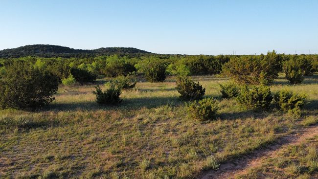 3609 Fm 1086, Home with 0 bedrooms, 0 bathrooms and null parking in Ovalo TX | Image 5