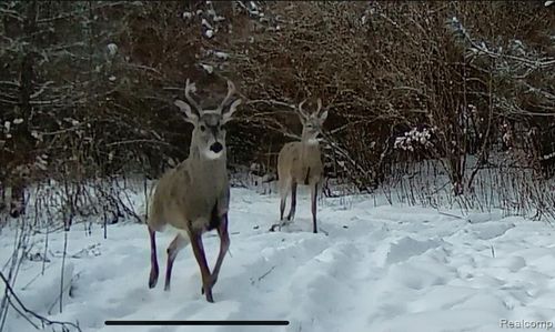 5498 Piersonville Rd, Columbiaville, MI, 48421-9106 | Card Image