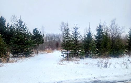 17 County Road 17 E, Mizpah, MN, 56660 | Card Image