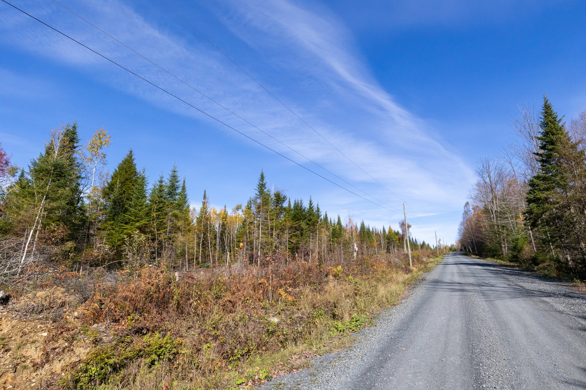 Land in Sainte-Cécile-de-Whitton 5