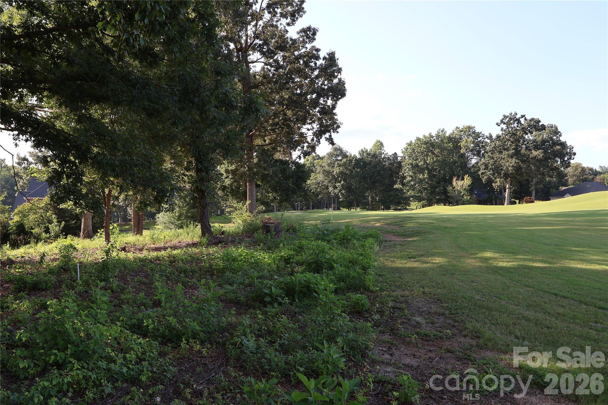 Land in Morganton 3