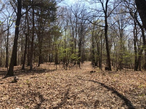 000 355.77 +/- Ac County Road 4053, Portland, MO, 65067 | Card Image