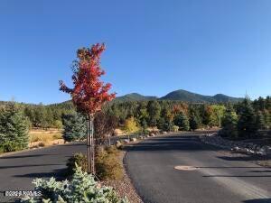 Land in Williams 5