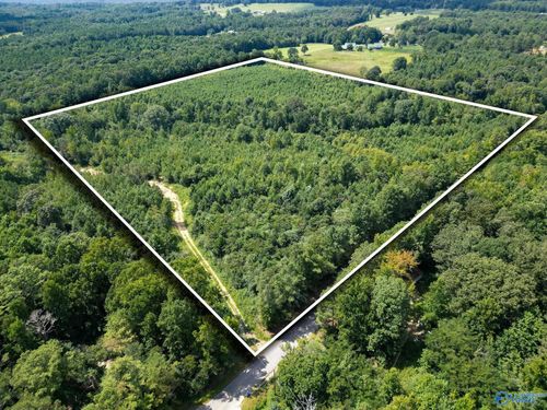 039 Walker Mountain Road, Boaz, AL, 35956 | Card Image