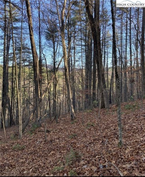 1 Toe River Lane, Newland, NC, 28657 | Card Image