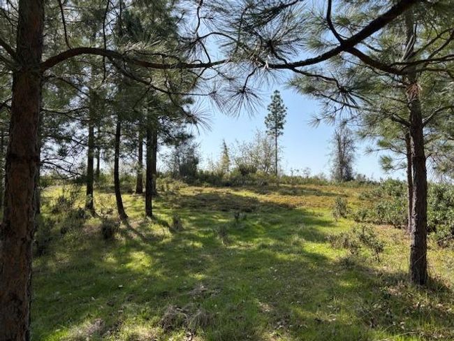 19292 Shawnee Trl, Home with 0 bedrooms, 0 bathrooms and null parking in Mokelumne Hill CA | Image 21