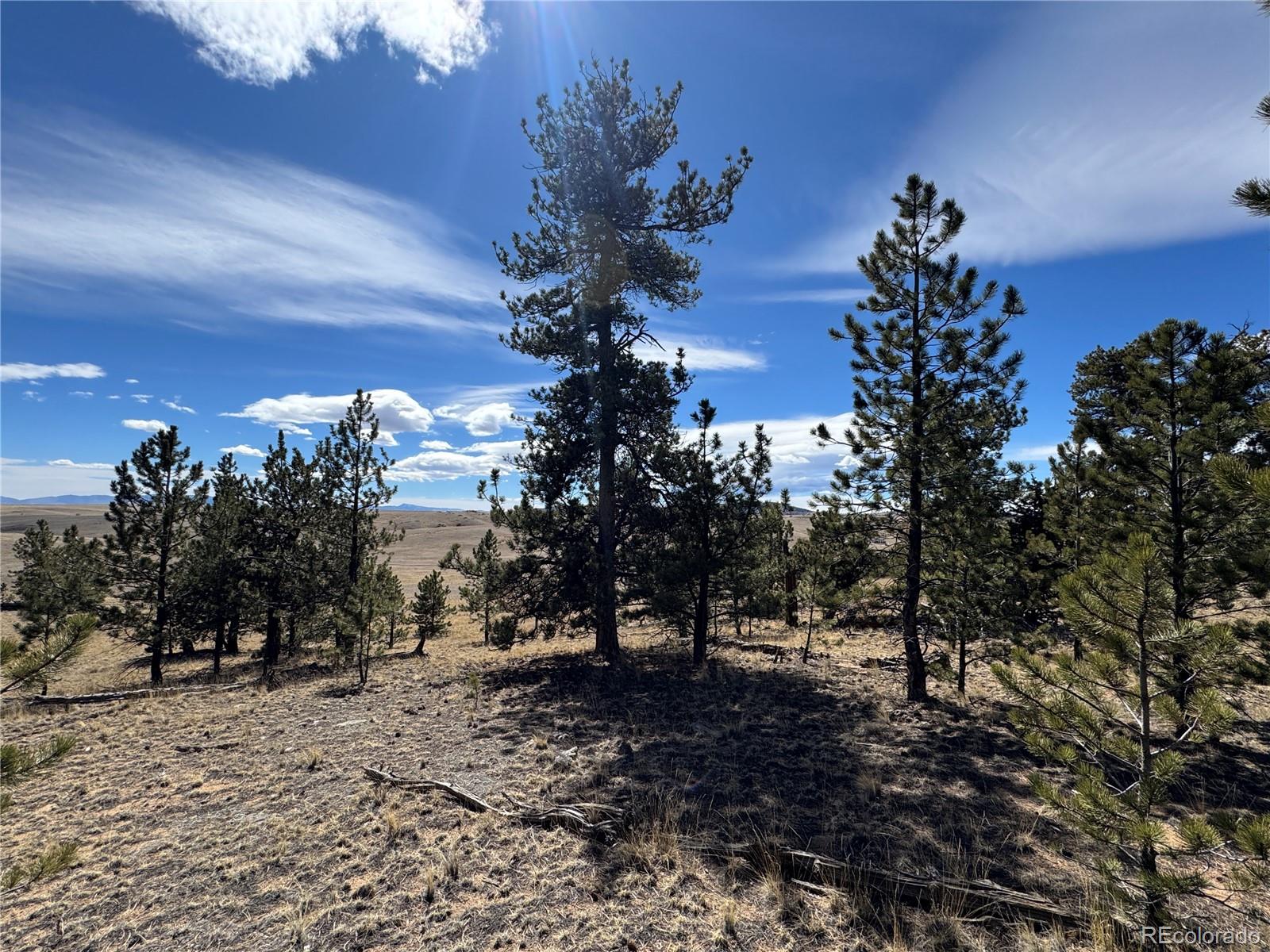 Land in Jefferson 5