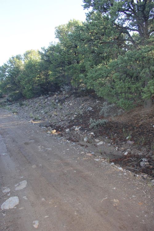 TBD Lot 4 Llano Rd, Questa, NM, 87556-0000 | Card Image