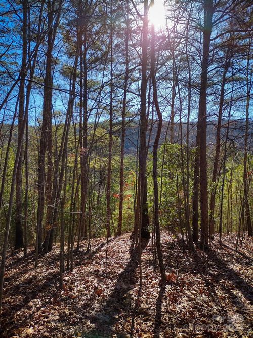 TBD Pine Needle Ln, Nebo, NC, 28761 | Card Image