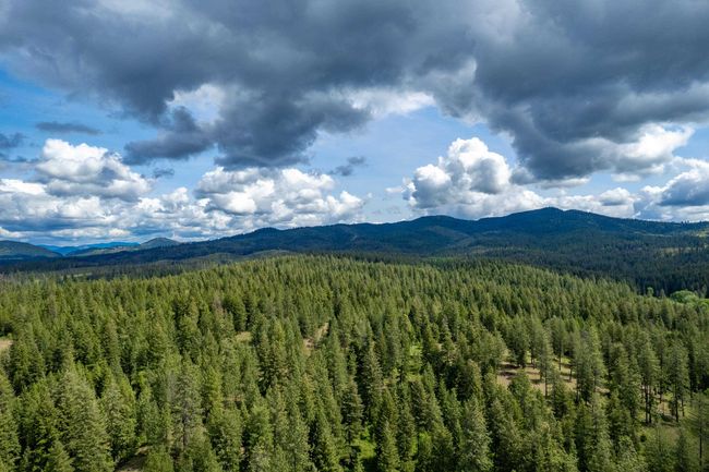 000 E Nelson Rd, Home with 0 bedrooms, 0 bathrooms and null parking in Elk WA | Image 14