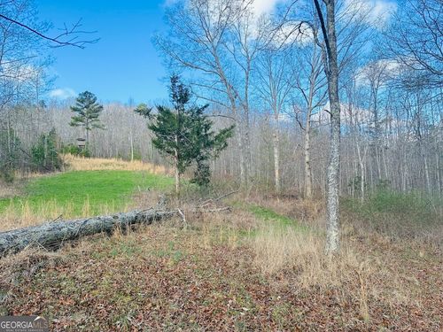 0 County Road 709, Valley Head, AL, 35989 | Card Image