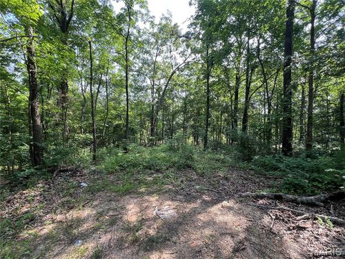 0 Lake View Dr, Wappapello, MO, 63966 | Card Image