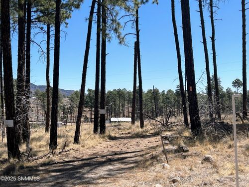 31 Bahamas Dr, Timberon, NM, 88350-9711 | Card Image