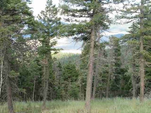 Lot 11 Palo Flechado Ridge Rd, Angel Fire, NM, 87710-8192 | Card Image