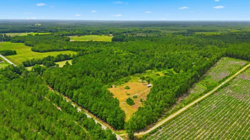 TBD Williams Hill Rd., Hemingway, SC, 29554 | Card Image