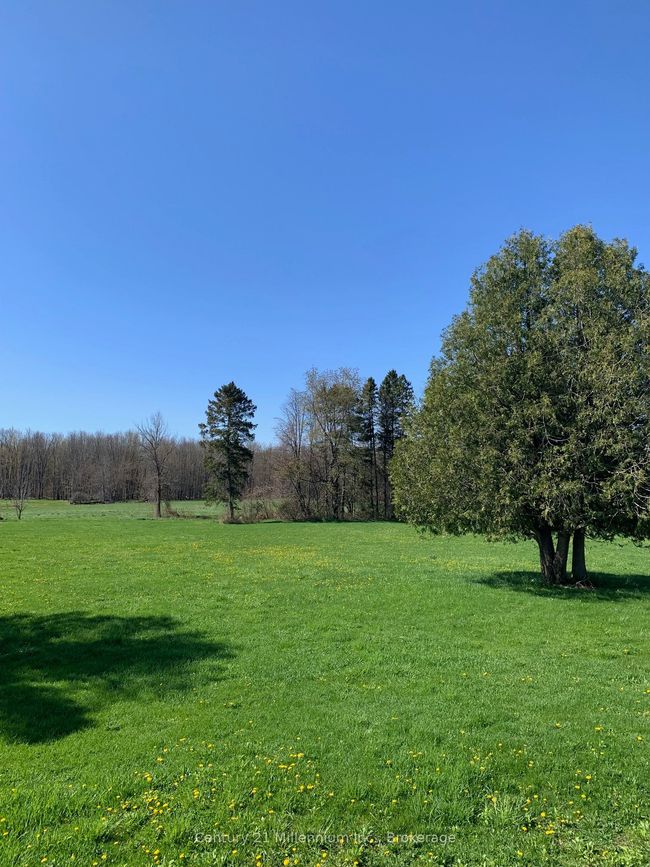 264094 Sideroad 24, Home with 2 bedrooms, 2 bathrooms and 5 parking in Municipality Of Meaford ON | Image 5