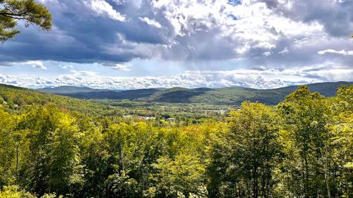 10-182-10 Pinnacle Rd, Campton, NH, 03223-5020 | Card Image