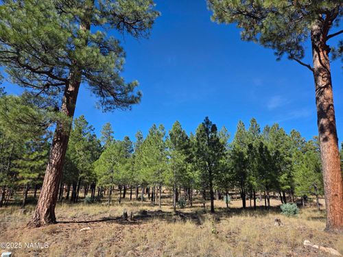 2522 Pinon Cir, Happy Jack, AZ, 86024 | Card Image