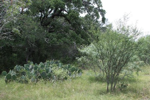 TBD Fm 3353, Seguin, TX, 78155 | Card Image