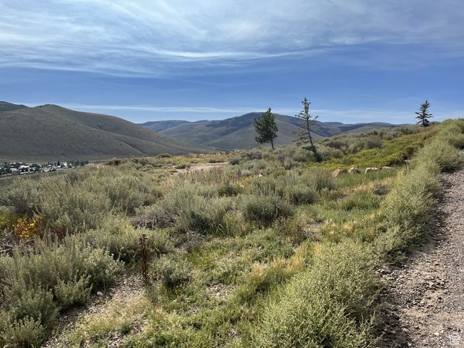 49 - 49 Aspen Cove Dr, Home with 0 bedrooms, 0 bathrooms and null parking in Scofield UT | Image 4