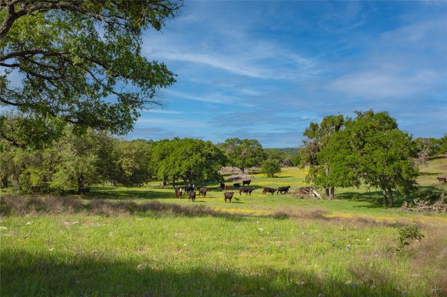 771 County Road 2130, Home with 0 bedrooms, 0 bathrooms and null parking in Meridian TX | Image 29