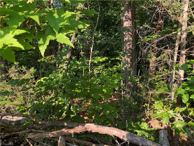 0 Scenic Dr, Home with 0 bedrooms, 0 bathrooms and null parking in King NC | Image 5