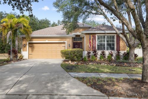 17425 New Cross Cir, LITHIA, FL, 33547-4916 | Card Image
