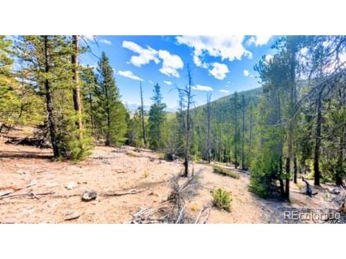 111 Kevin Gulch Rd, Leadville, CO, 80461 | Card Image