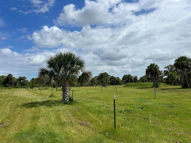 1303 Cabbage Ln, Home with 0 bedrooms, 0 bathrooms and null parking in Okeechobee FL | Image 13