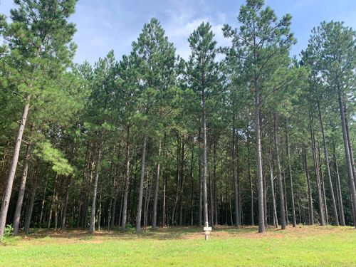 5140 Crockett Loop, Jasper, TN, 37347 | Card Image