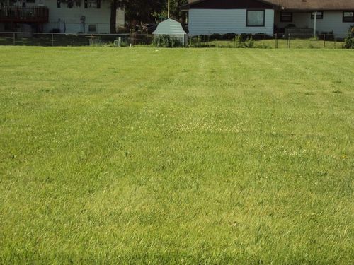 1638 E Grove Ave, Rantoul, IL, 61866-2737 | Card Image