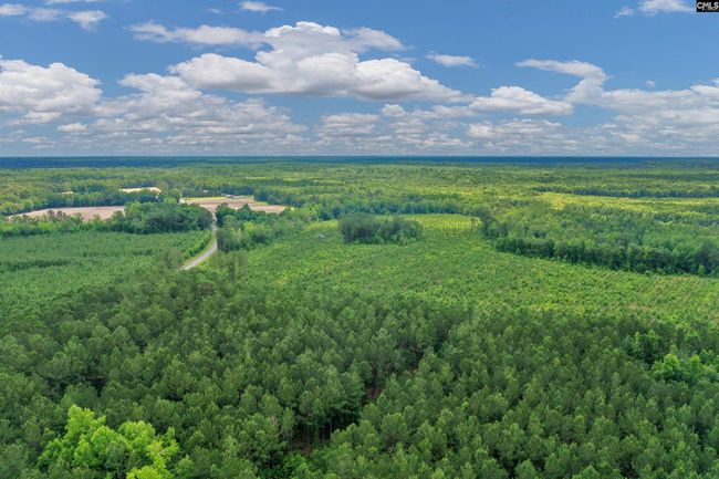 0000 N Brewington Rd, Home with 0 bedrooms, 0 bathrooms and null parking in Manning SC | Image 13